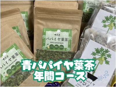 青パパイヤ葉茶 年間コース 